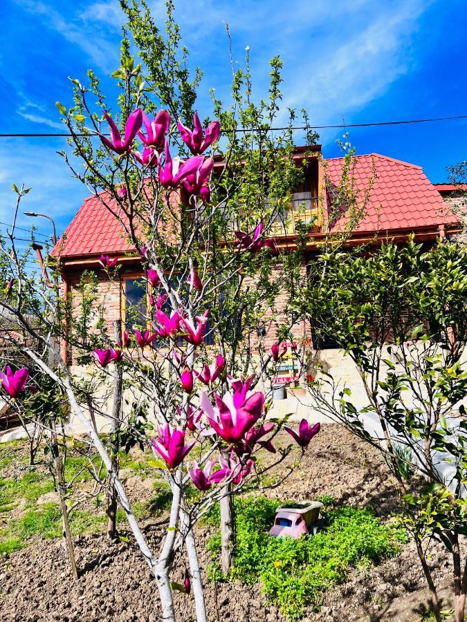 Вилла Sunshine House Кутаиси Экстерьер фото