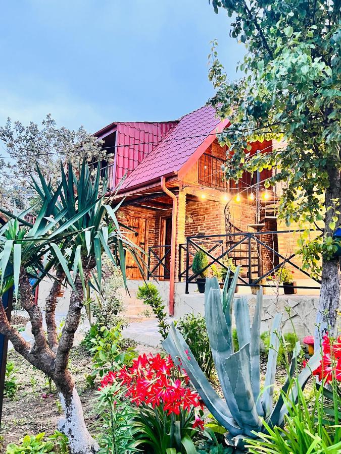 Вилла Sunshine House Кутаиси Экстерьер фото